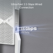 Image de TP-Link BE11000 Émetteur et récepteur réseau Blanc 2500 Mbit/s