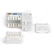 Picture of StarTech.com Cat6 Keystone Jack, 24-Pack RJ45 Ethernet Keystone Jacks, UTP Cat6 Wall Jack, 90-Degree 110 Punch Down, White
