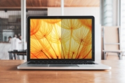 Picture of 3M Bright Screen Privacy Filter for 15.6in Full Screen Laptop, 16:10, BP156W1E