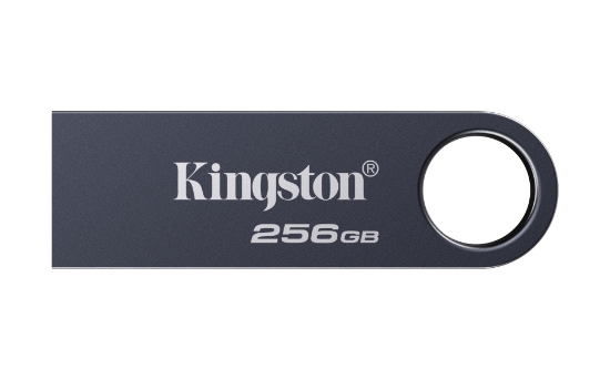 Picture of Kingston Technology DataTraveler 256GB SE9 G3 - Dark Nickel