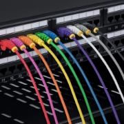Afbeeldingen van StarTech.com N6PAT100CMBLS10PK netwerkkabel Blauw 1 m Cat6 U/UTP (UTP)